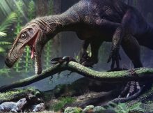 Hollow Bones That Let Dinosaurs Become Giants Evolved At Least Three Times Independently