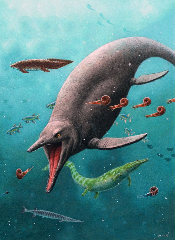 Oldest Sea Reptile From Age Of Dinosaurs Found On A Remote Arctic Island