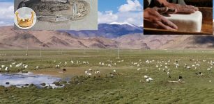 Research Reveals A 3,500-Year History Of Dairy Consumption On The Tibetan Plateau