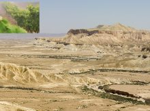 View of Ein Avdat (Hebrew: עין עבדת‎) in the Zin Valley of the Negev desert.