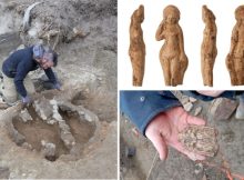 Ancient Roman Statues of Goddess Venus And Other Precious Artifacts Found In A Trash Pit In France