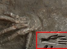 Mysterious Ancient Egyptian Severed Hands Practice Investigated By Scientists