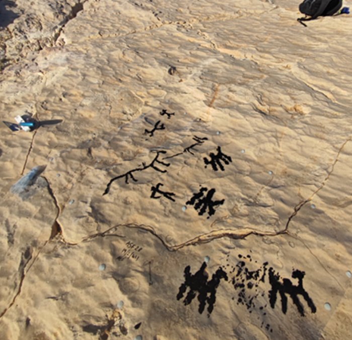 Unique Finds Discovered In Oman - Rub'al-Chali Desert Reveals Its Secrets