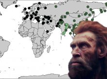 World Map Of Neanderthal And Denisovan DNA In Modern Humans