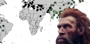 World Map Of Neanderthal And Denisovan DNA In Modern Humans