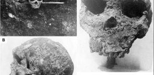 Evolution Puzzle - Broken Hill Skull And Homo Heidelbergensis Cast Doubt Over Modern Human Ancestry