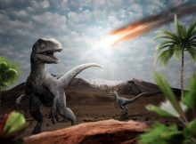What If Dinosaurs Were Already In Decline When The Asteroid Struck?