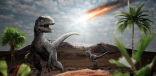 What If Dinosaurs Were Already In Decline When The Asteroid Struck?