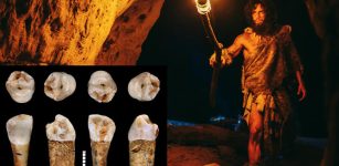 Tooth Enamel Provides Intriguing Clues To Hunter-Gatherer Lifestyle Of Neanderthals