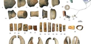 Discovered Shell Beads Shed New Light On Stone Age Seafaring