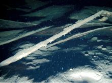 New Video Footage Reveals Intriguing Viking-Style Shipwreck At The Bottom Of Norway's Largest Lake Mjøsa