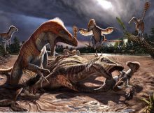 Evidence Utahraptor, World's Largest Dinosaur Lived Millions Of Years Earlier Than Previously Thought