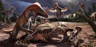 Evidence Utahraptor, World's Largest Dinosaur Lived Millions Of Years Earlier Than Previously Thought