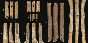 12,000-Year-Old Flutes Made From Bird Bones - Discovered