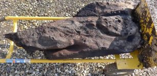 Surprising Discovery Of Oldest Decoratively Carved Wood In Britain