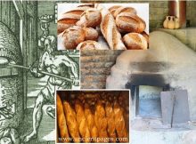 History Of Bread: Basic Food For The Sick, Poor, Pilgrims, Travelers, And All Other People Around The World