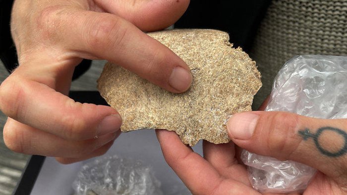 Man In Sweden Finds Viking Age Skeleton In His Garden