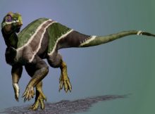 Newly Discovered Dinosaur, 'Iani,' Was Face Of a Changing Planet