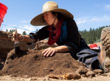 6,000-Year-Old Earth Ovens Discovered In Washington State