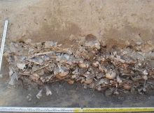 19th Century Mass Grave With Hudreds Decapited "Vampires" Discovered In Polish Village