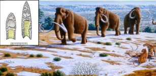 Study: Paleo-Americans Hunted Mastodons, Mammoths And Other Megafauna In Eastern North America 13,000 Years Ago