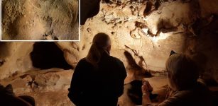 Neanderthal Cave Engravings Identified As Oldest Known, More Than 57,000 Years Old