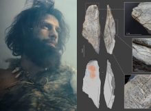 Little Known Neanderthal Technology Examined - Turning Bones Into Tools