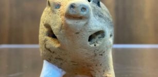 Unique Pig-Shaped Figurine Found In East China Was Probably A Child's Toy 6000-Years Ago