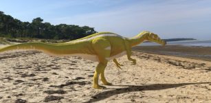New Spinosaurid Dinosaur Found In Spain