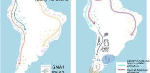 Tracing Chile's Indigenous Roots Through Genetics And Linguistics