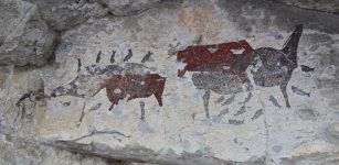 Unicorns In Southern Africa: The Fascinating Story Behind One-Horned Creatures In Rock Art