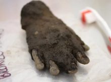 Curious Rare Bronze Hand Found At Roman Vindolanda