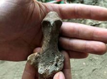 Rare 7,000-Year-Old Clay Figurine Discovered In Battifratta Cave, Lazio