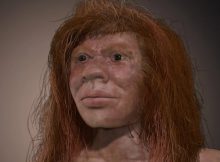 Mysterious Denny - 90,000-Year-Old Child Whose Parents Were Two Different Human Species