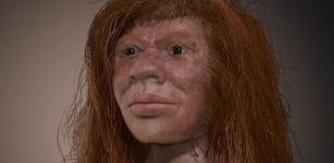 Mysterious Denny - 90,000-Year-Old Child Whose Parents Were Two Different Human Species