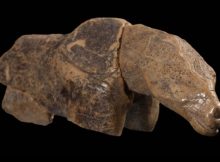 Curious Ice Age Figurine Of Unidentified Animal Species Puzzles Scientists