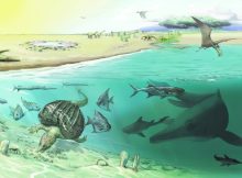 Is Huge New Ichthyosaur, One Of The Largest Animals Ever Uncovered?