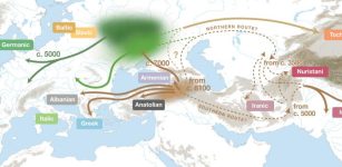 New Insights Into The Dawn Of The Indo-European Languages