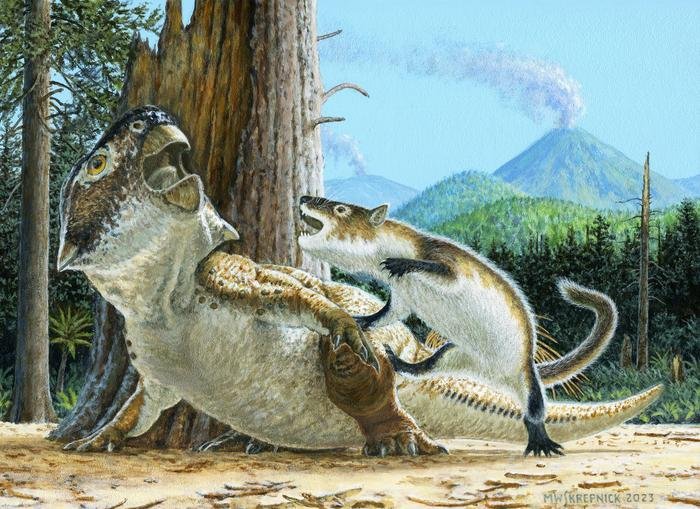 Unusual Fossil Shows Rare Evidence Of A Mammal Attacking A Dinosaur