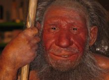 Do Neanderthal Genes Determine Our Skin Color And Sleep Patterns?