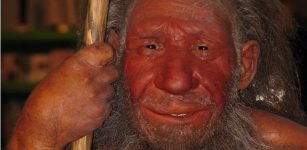 Do Neanderthal Genes Determine Our Skin Color And Sleep Patterns?