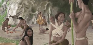 The Invisible Plant Technology Of The Prehistoric Philippines