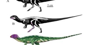 New Species Of Plant-Eating Dinosaur Identified In Thailand