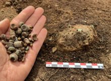 Amazing Artifacts Found In Viking Double Grave In Norwegian Garden