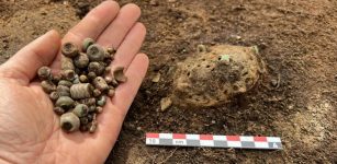 Amazing Artifacts Found In Viking Double Grave In Norwegian Garden