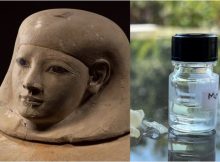 Afterlife: Ancient Egyptian Mummification Balms Studied