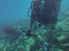 Remains Of A 2300-Year-Old Sunken Ship Discovered At Alamein Shore