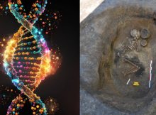 DNA From 3,800-Year-Old Individuals Sheds News Light On Bronze Age Families