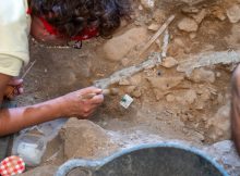 3D Models Used To Study Linya, The Prehistoric Woman Who Lived 14,000 Years Ago In Pyrenean Foothills