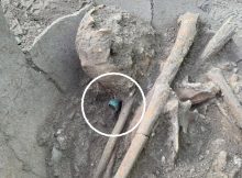 1,200-Year-Old Human Skeleton With A Jade Ring Unearthed In El Tigre Archaeological Zone